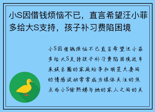 小S因借钱烦恼不已，直言希望汪小菲多给大S支持，孩子补习费陷困境